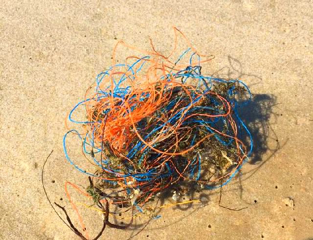 Dolly Ropes, Bündel aus Plastikschnur, wie sie in Massen an den Strand gespült werden, die Meere massiv verschmutzen und für Tiere und Pflanzen eine Gefahr sind