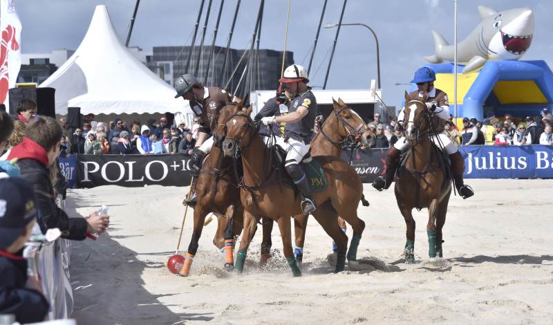 Das Beach Polo Turnier zu Pfingsten auf Sylt bietet den Zuschauern packenden Pferdesport