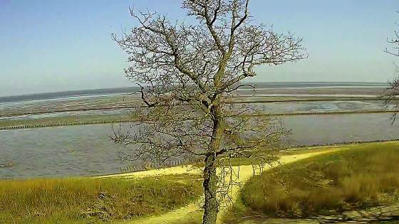 Keitum Webcam mit Blick aufs Wattenmeer