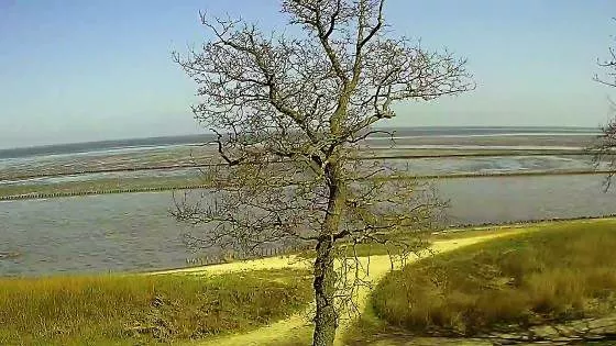 Keitum Webcam mit Blick aufs Wattenmeer