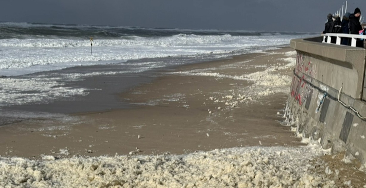 Das Sylt-Prinzip: Warum der Sturm die beste Kur für die Seele ist