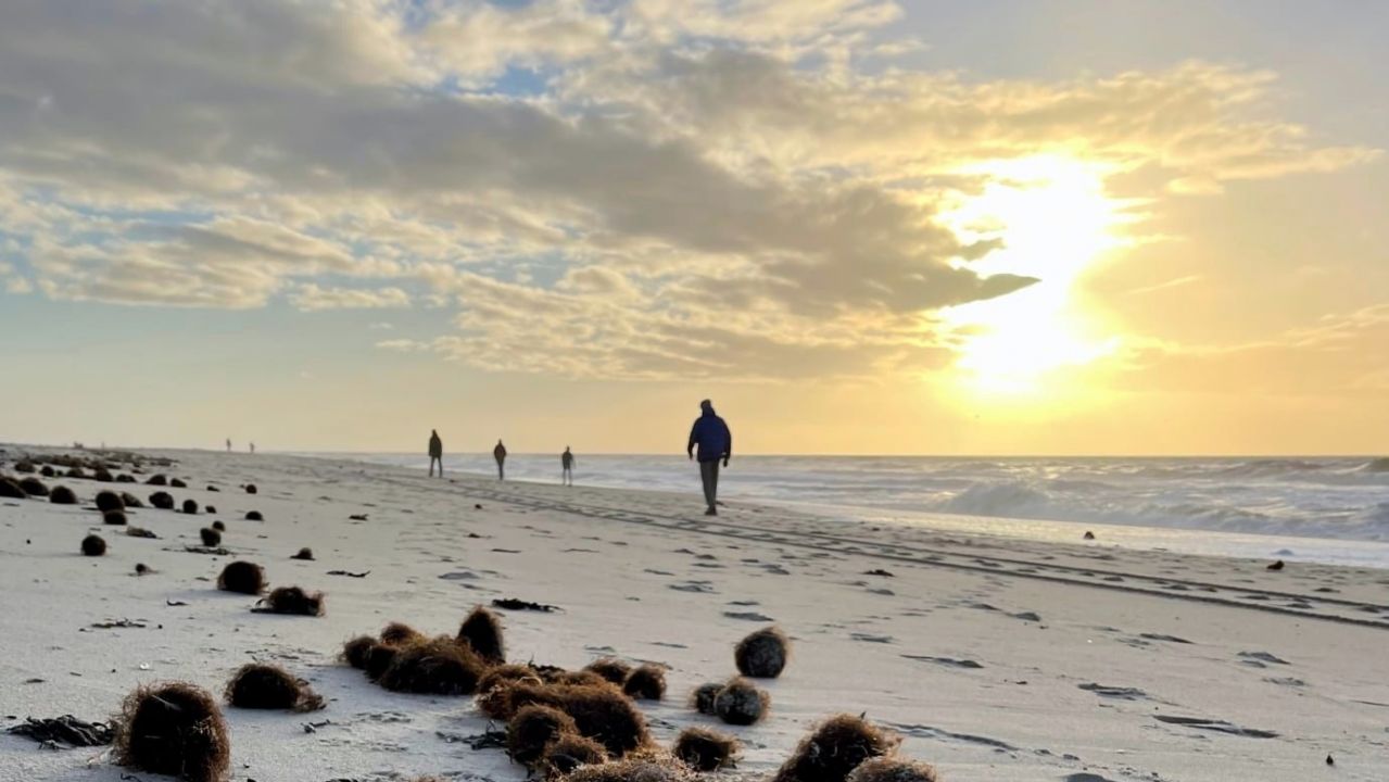 Spaziergänger an der Nordsee auf Sylt