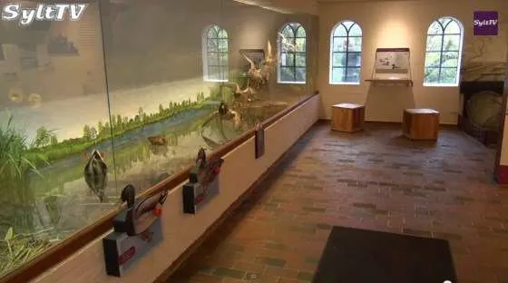 Die Vogelkoje in Kampen ist heute ein tolles Museum der Sylter Geschichte