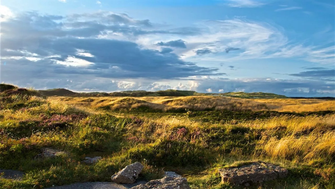 Die Heidelandschaft auf Sylt zeigt deutlich, dass die Insel mehr als Strand und Nordsee zu bieten hat