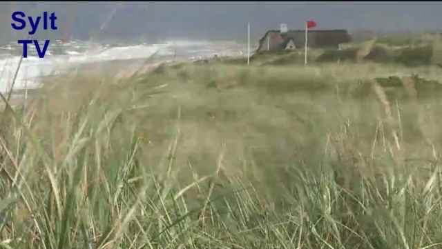 Herbst auf Sylt