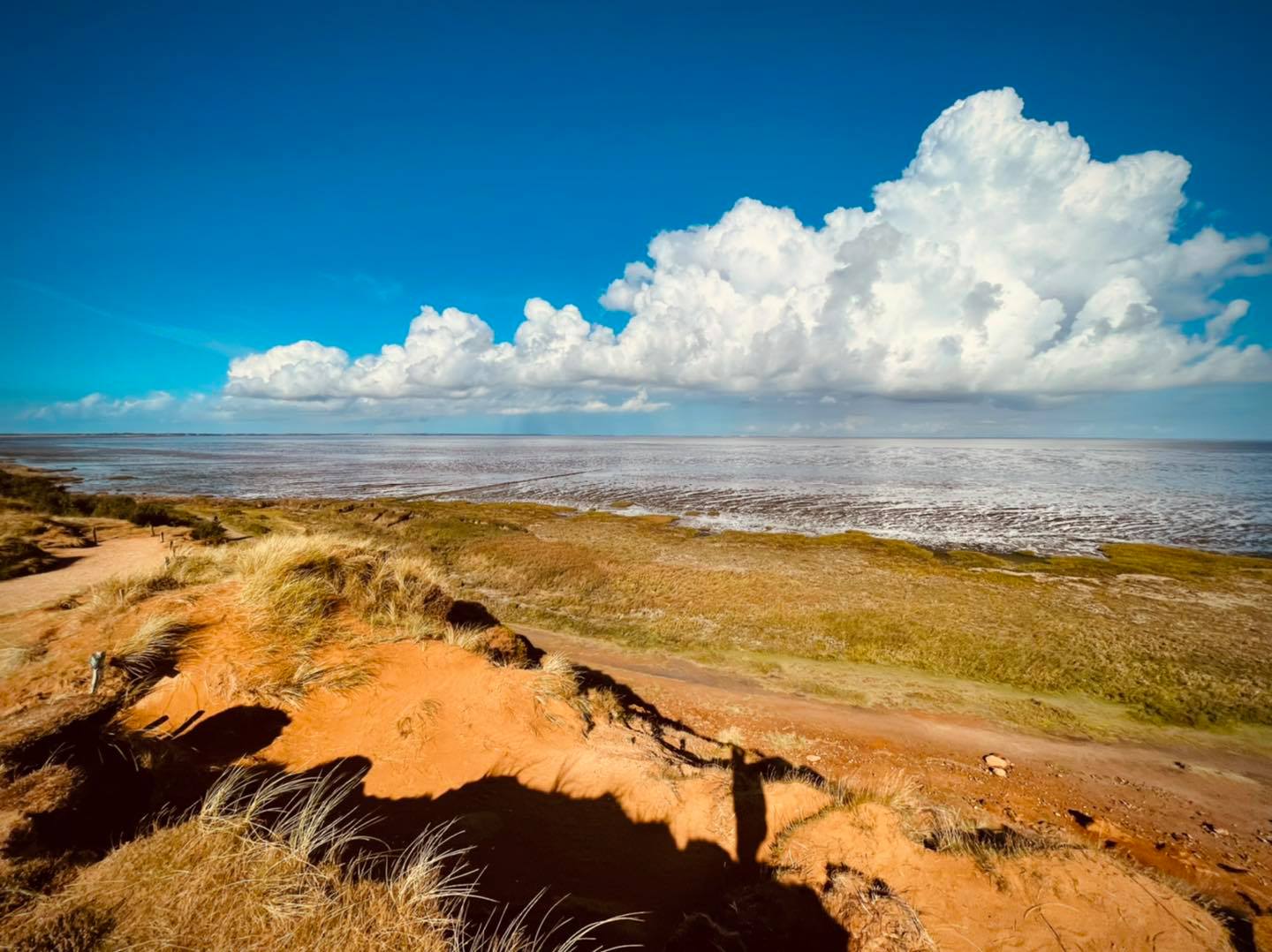 Blick auf das Weltnaturerbe Wattenmeer in Morsum